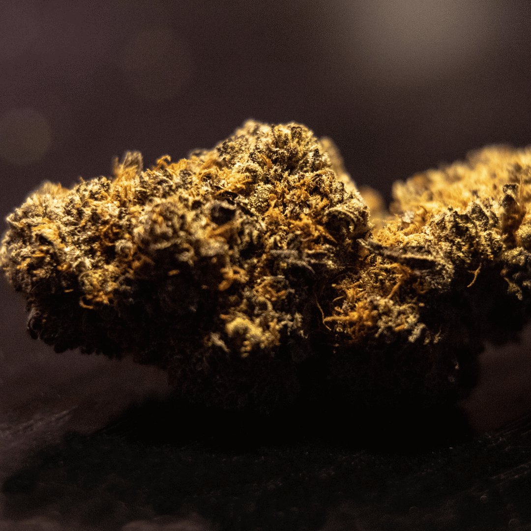 FLORES DE CBD