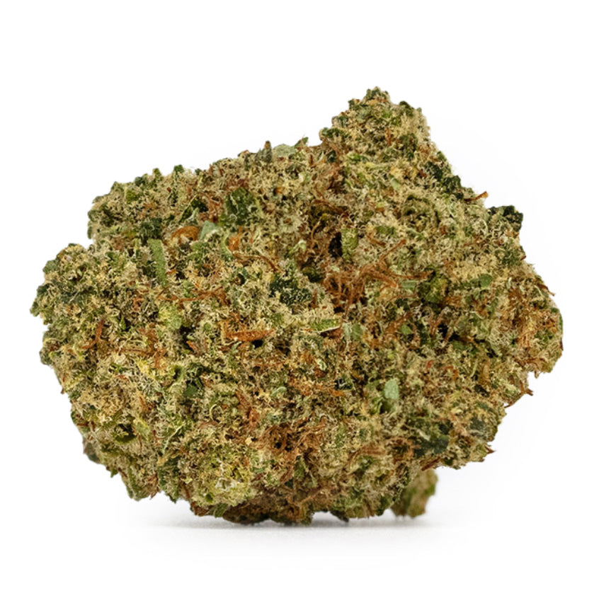 Gorila Glue
