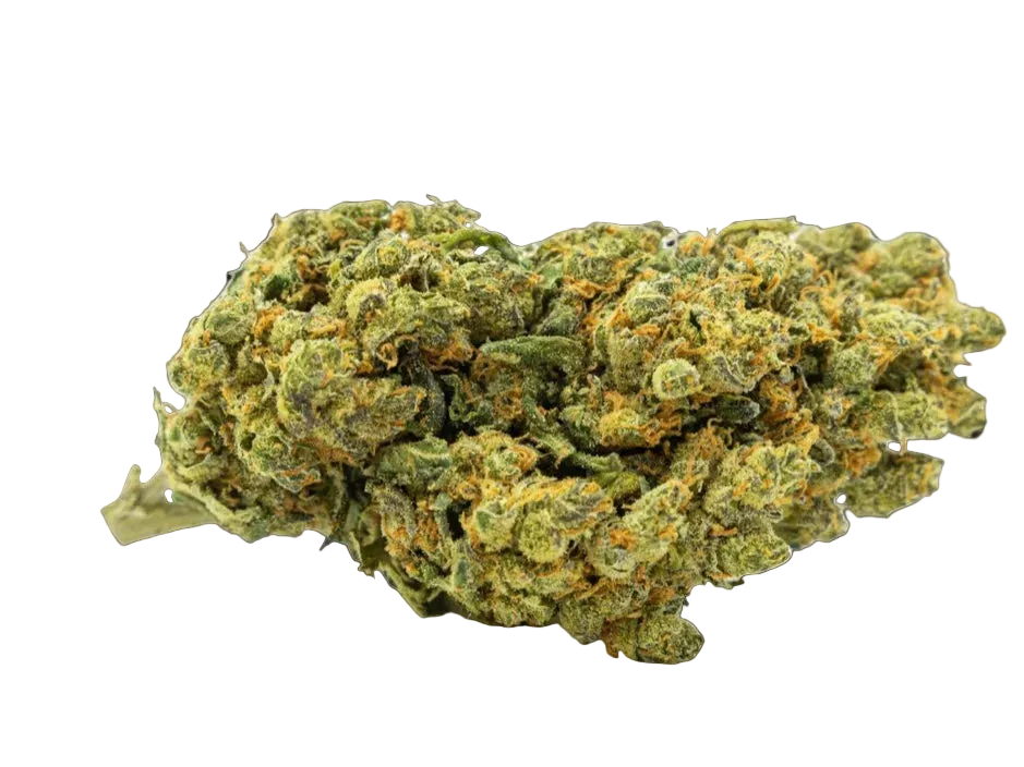 AMNESIA HYDROPONICA 28 % CBD