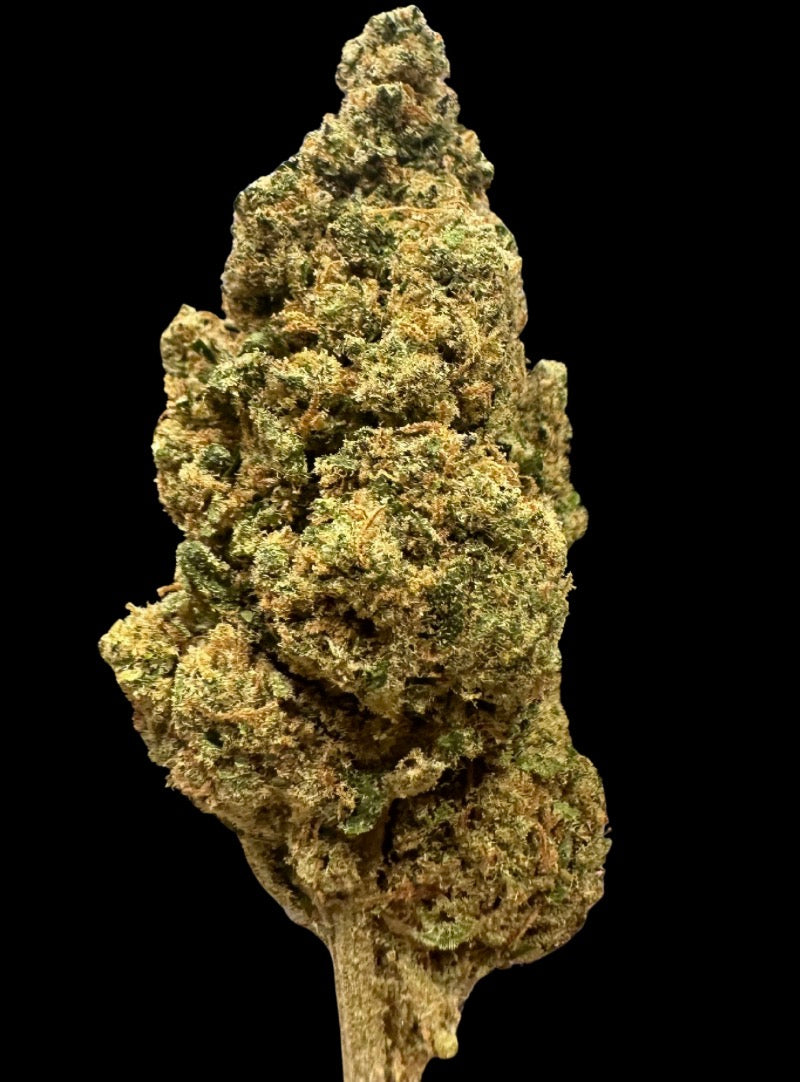 Girl Scout Cookies