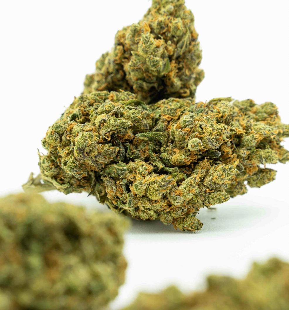AMNESIA HYDROPONICA 10 % CBD