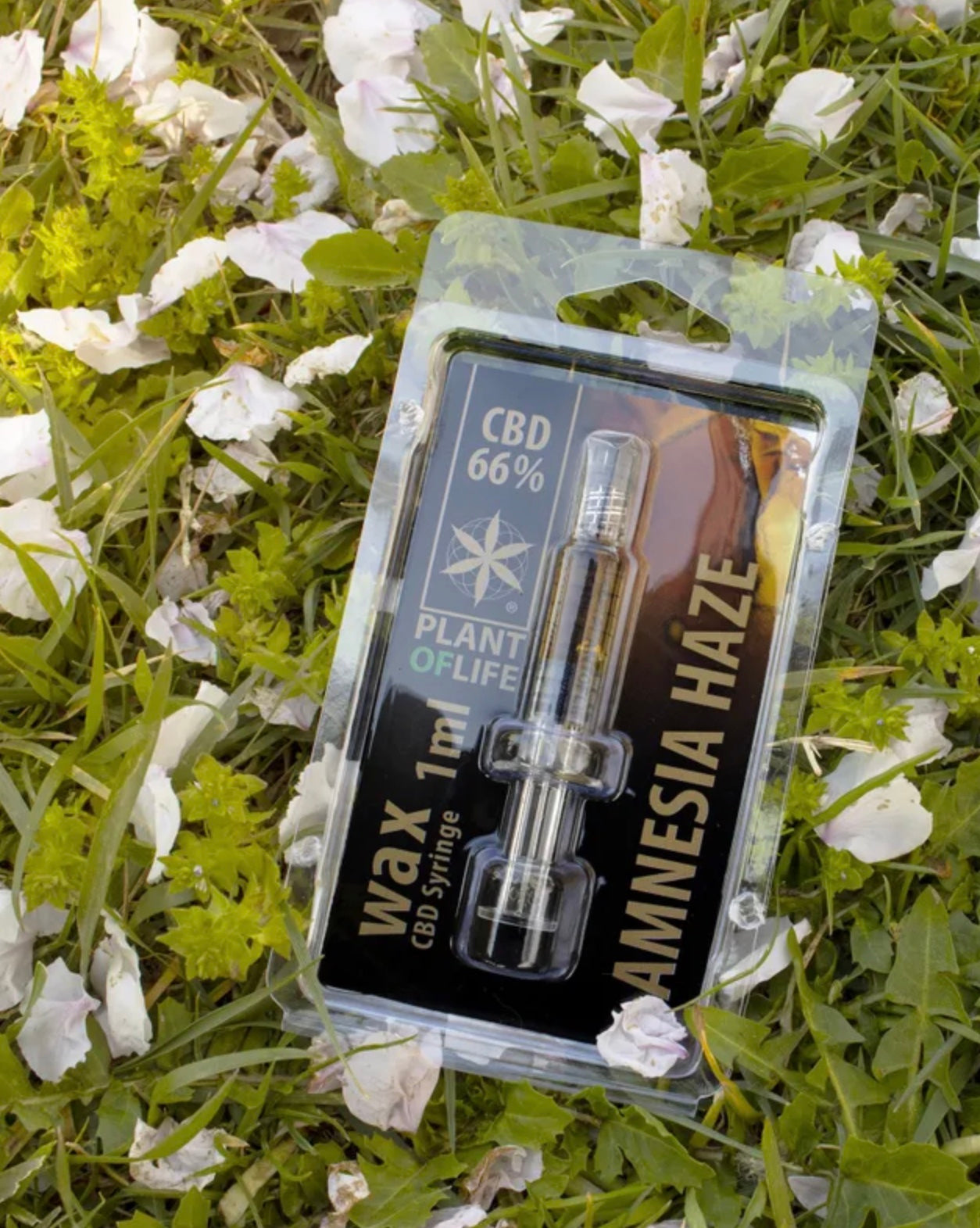 JERINGUILLA WAX 66% CBD AMNESIA 1ML