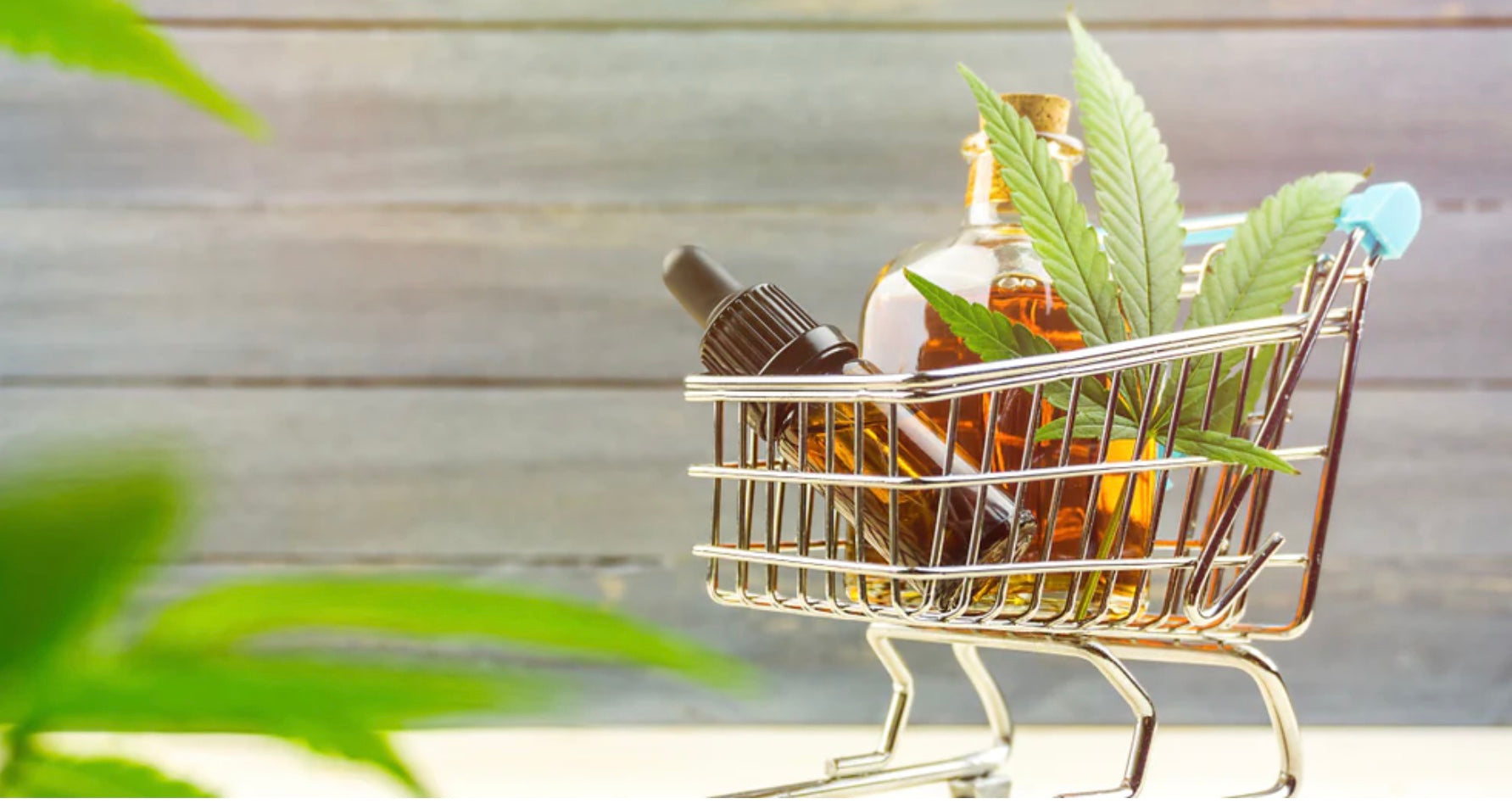 10 cosas a tener en cuenta al comprar CBD