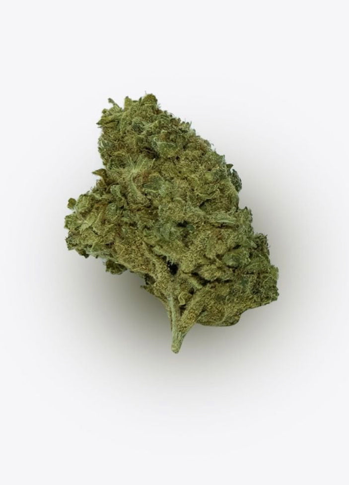 WHITE WIDOW
