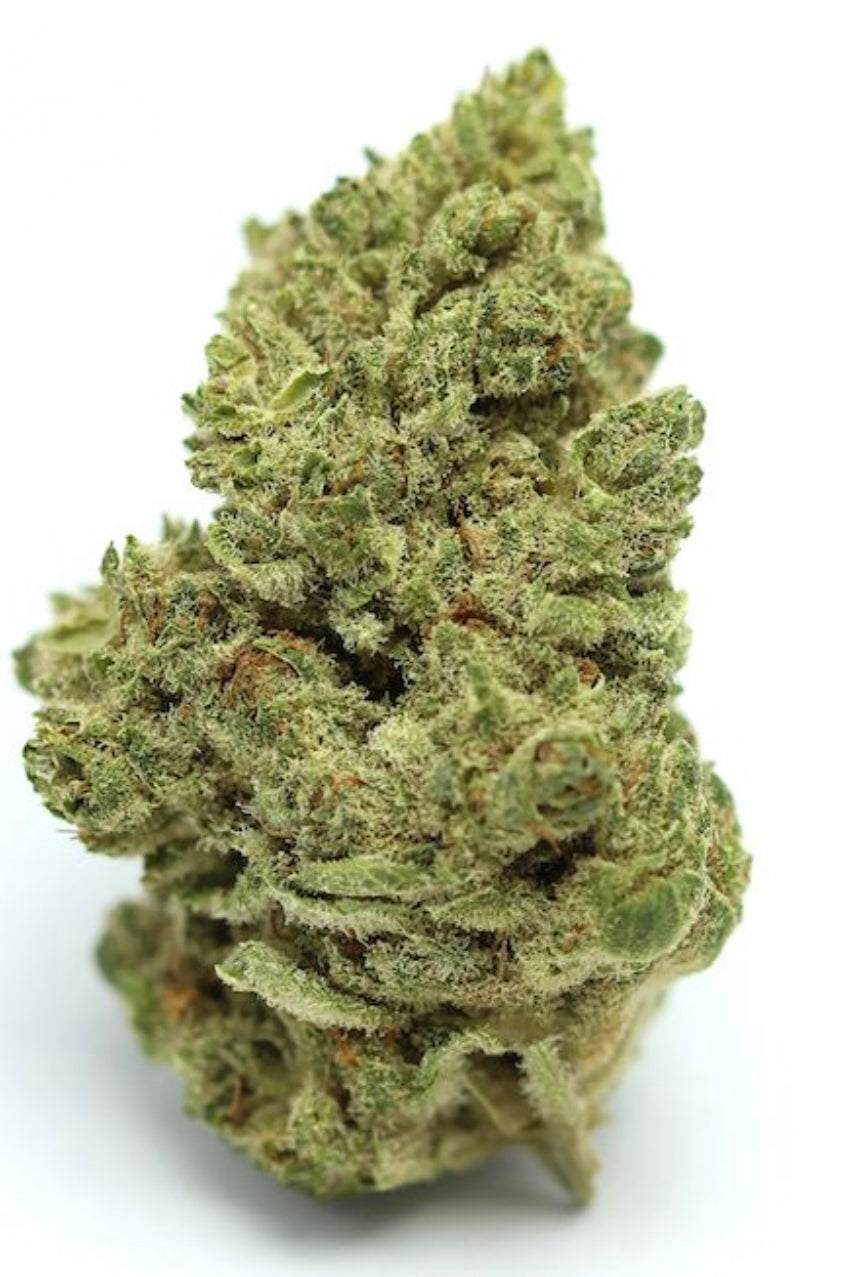 WHITE WIDOW