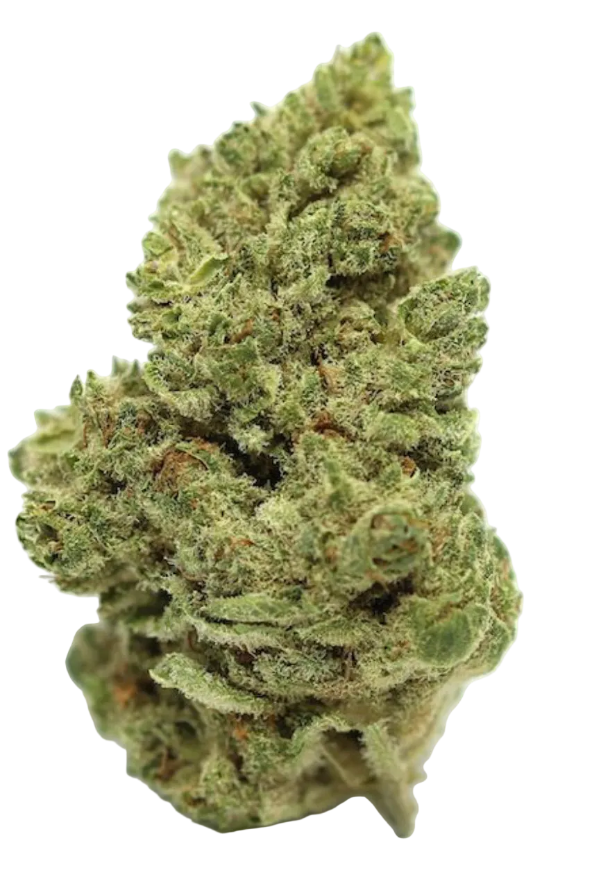 WHITE WIDOW