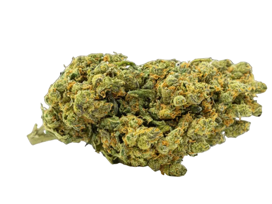 AMNESIA HYDROPONICA 28 % CBD