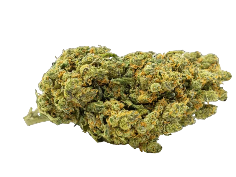 AMNESIA HYDROPONICA 28 % CBD