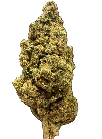 SKYWALKER