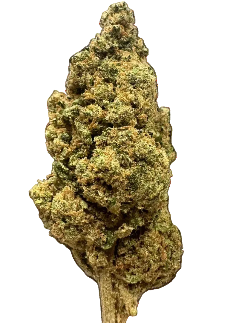 TROPICAL KUSH
