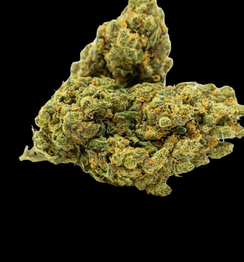 AMNESIA HYDROPONICA 28 % CBD